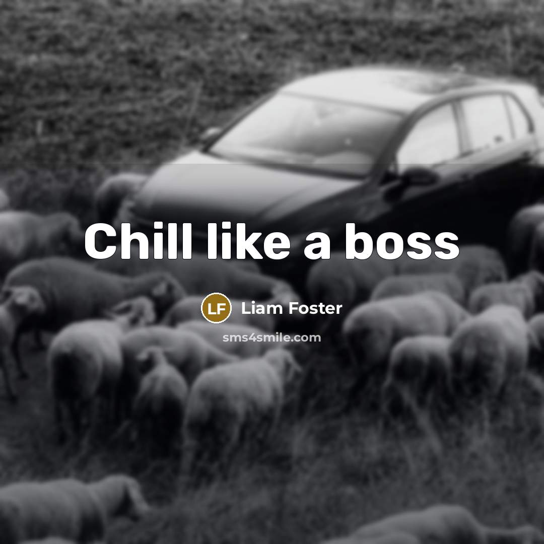 “Chill like a boss” quote by Liam Foster