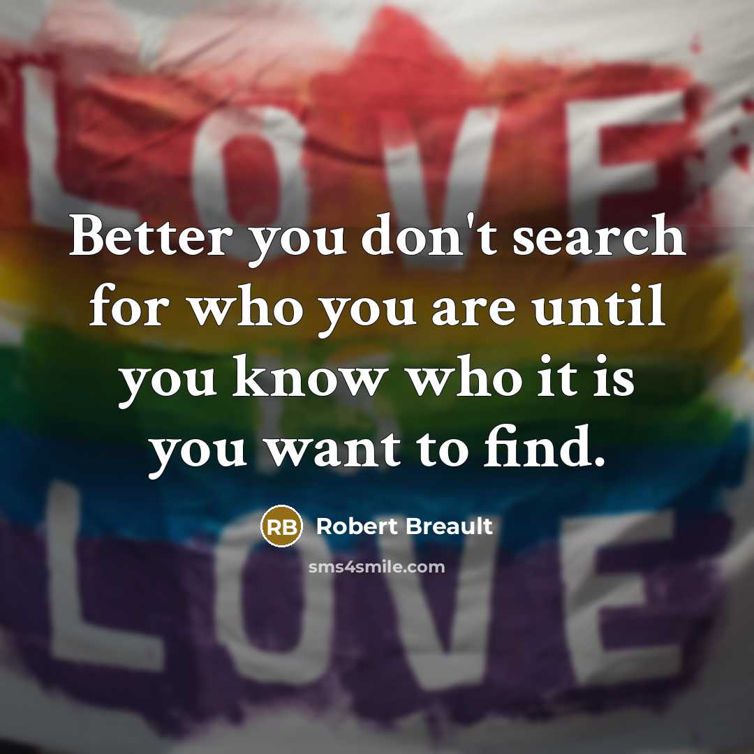 “Better you don't search for who you are until you…” quote by Robert Breault