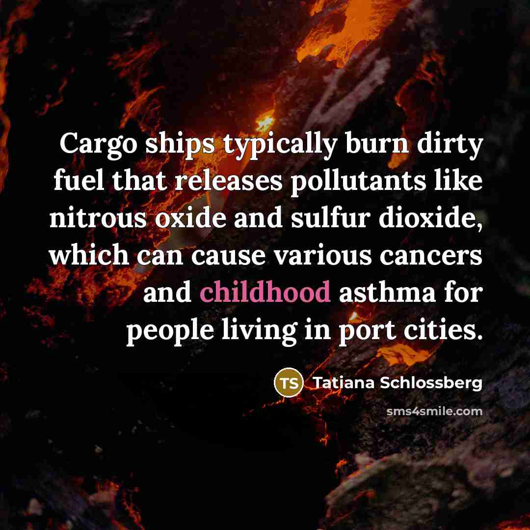 “Cargo ships typically burn dirty fuel that releases pollutants like…” quote by Tatiana Schlossberg