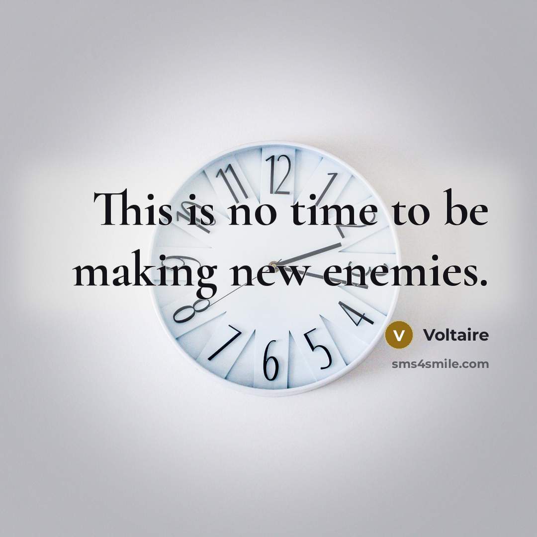 “This is no time to be making new enemies.…” quote by Voltaire