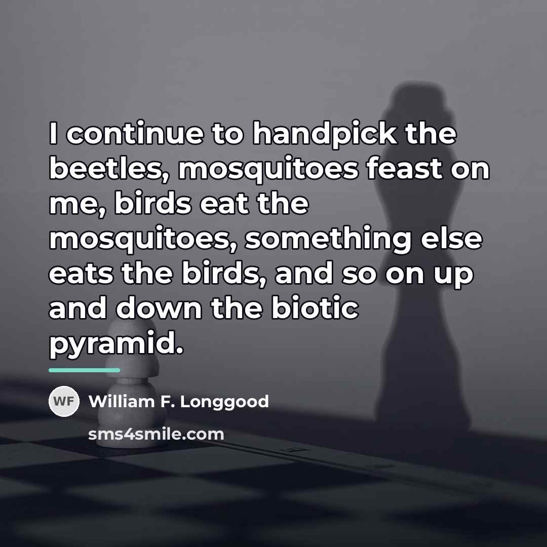 “I continue to handpick the beetles, mosquitoes feast on me,…” quote by William F. Longgood