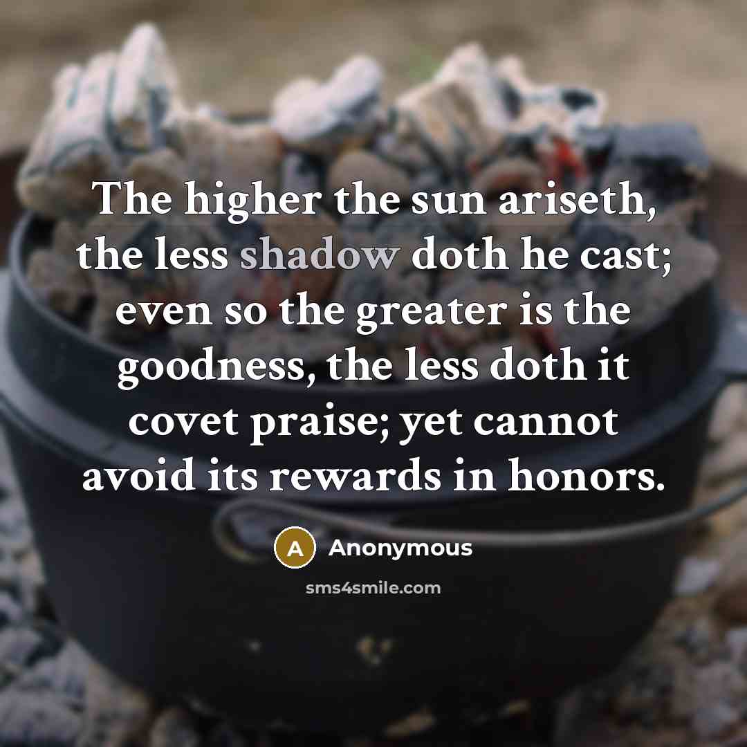 “The higher the sun ariseth, the less shadow doth he…” quote by Anonymous