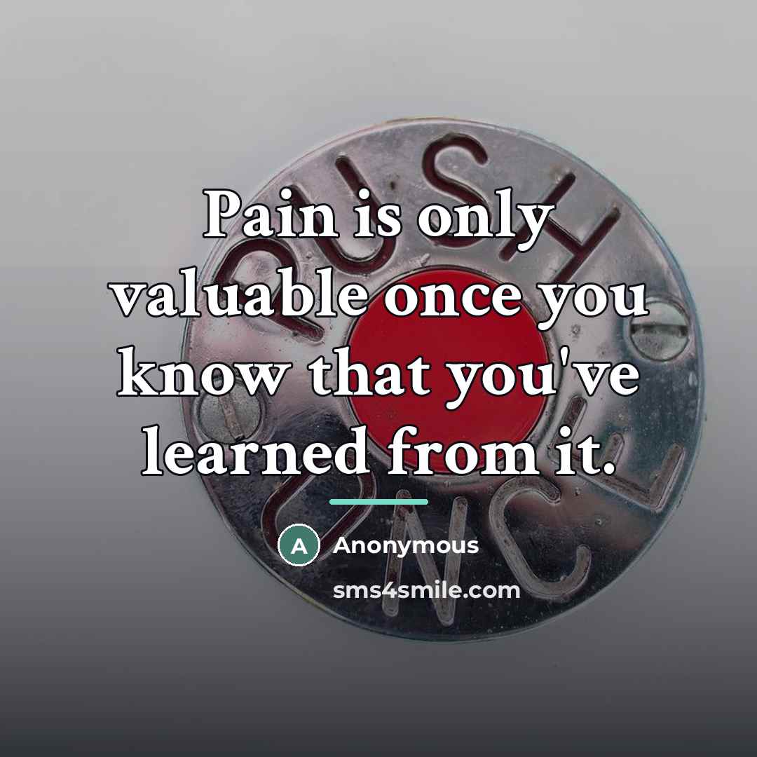 “Pain is only valuable once you know that you've learned…” quote by Anonymous