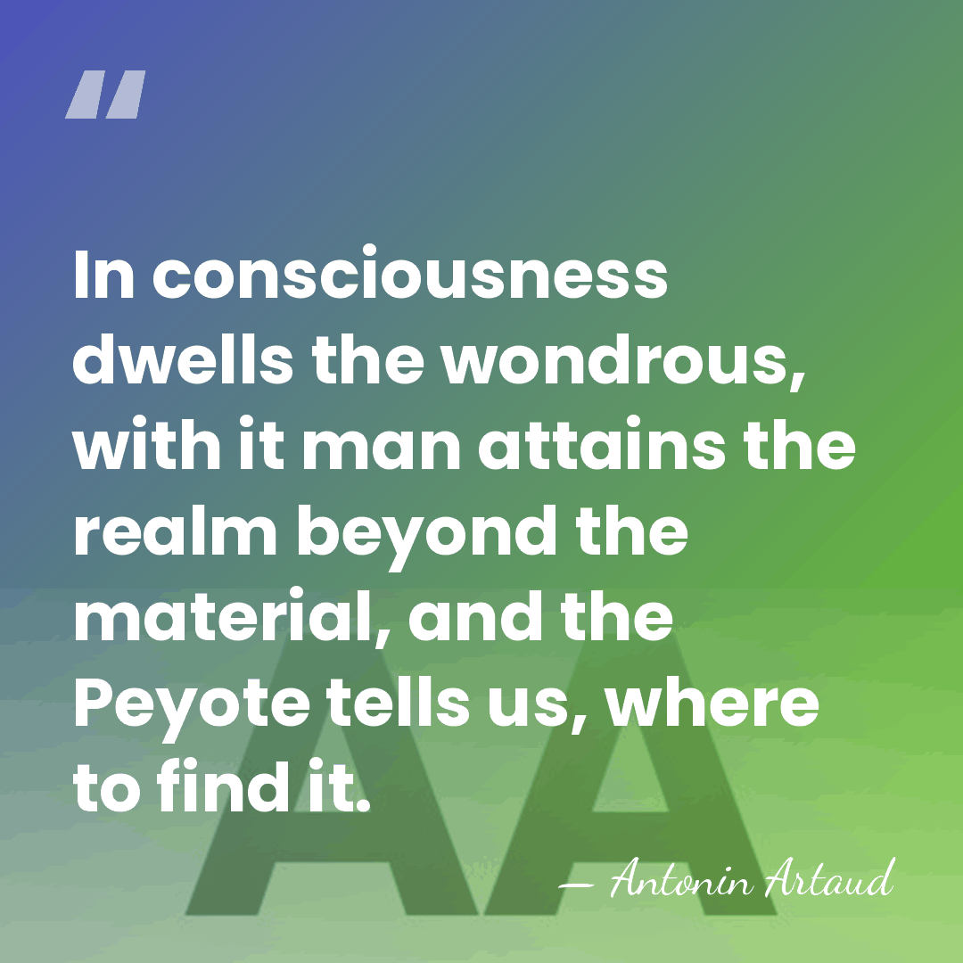 In consciousness dwells the wondrous, with it man attains the realm beyond&hellip; - Antonin Artaud