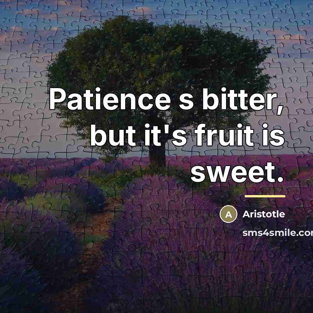 “Patience s bitter, but it's fruit is sweet.…” quote by Aristotle