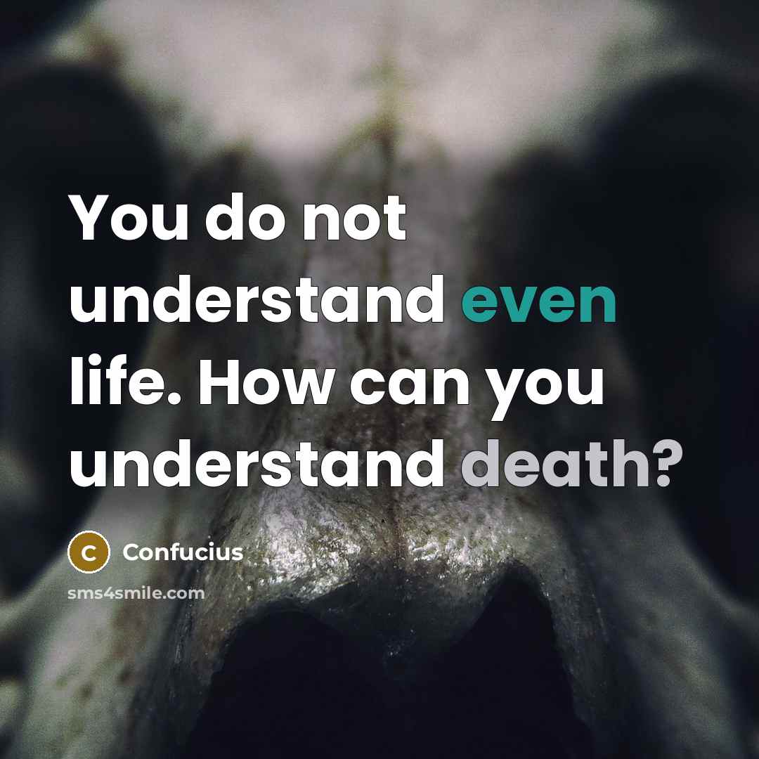 “You do not understand even life. How can you understand…” quote by Confucius