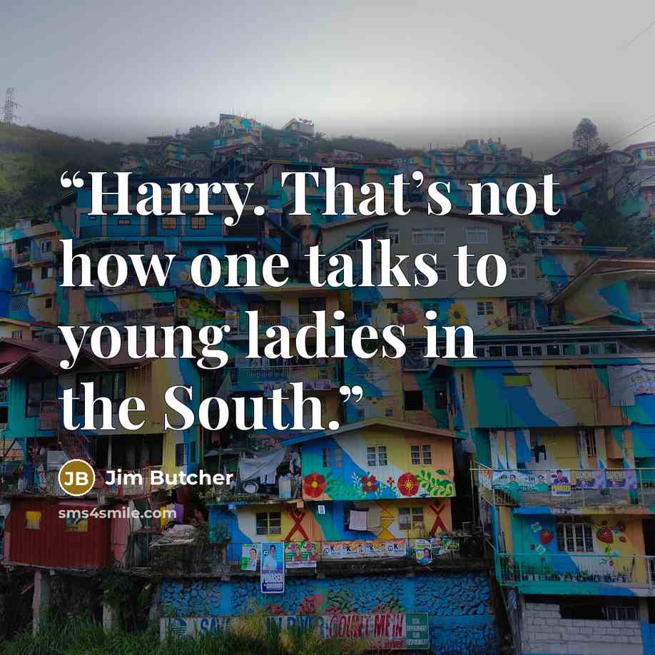 “Harry. That’s not how one talks to young ladies in the South.” quote by Jim Butcher