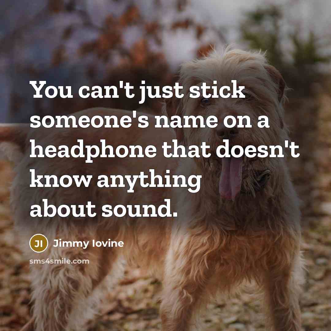 “You can't just stick someone's name on a headphone that…” quote by Jimmy Iovine