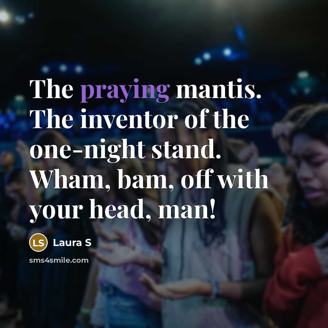 “The praying mantis. The inventor of the one-night stand. Wham,…” quote by Laura S