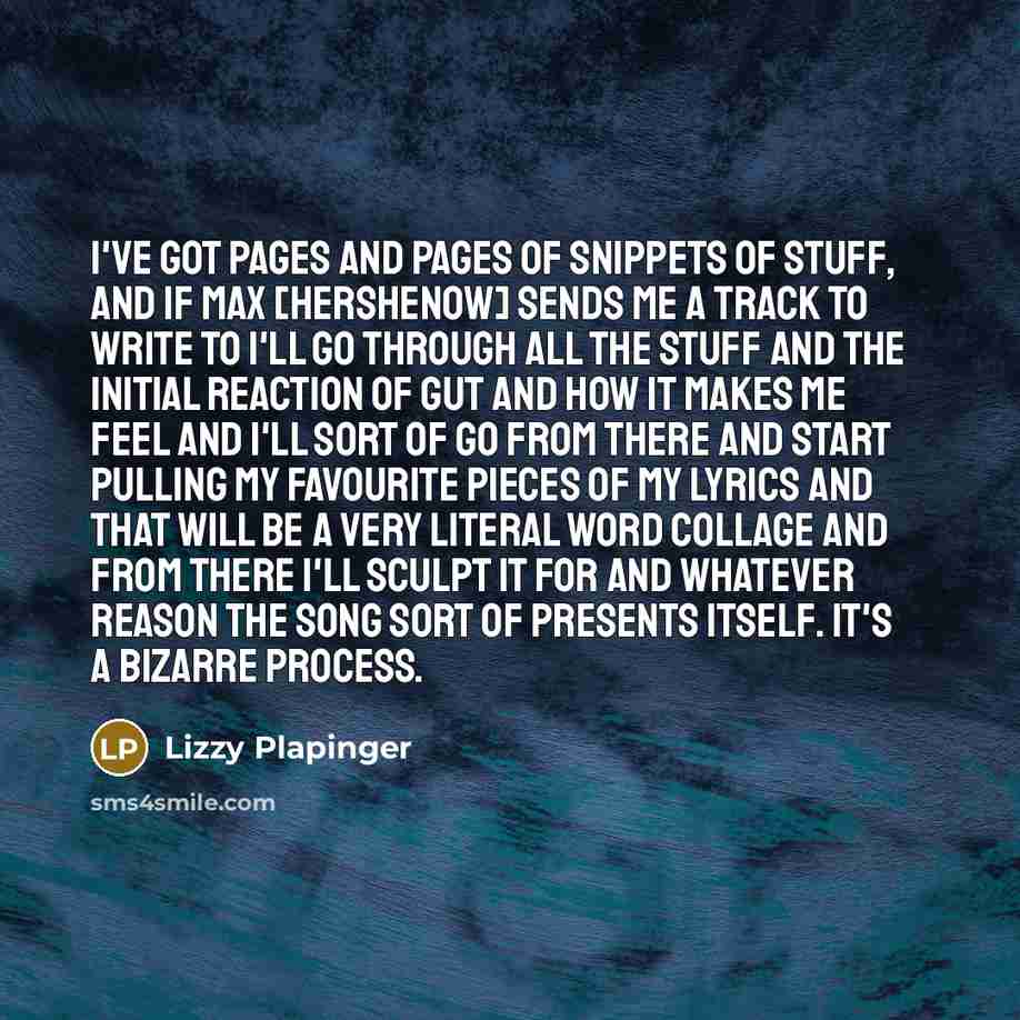 “I've got pages and pages of snippets of stuff, and…” quote by Lizzy Plapinger