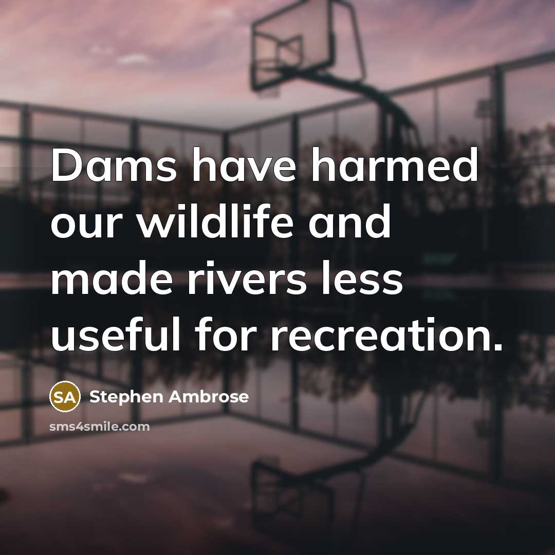 “Dams have harmed our wildlife and made rivers less useful…” quote by Stephen Ambrose