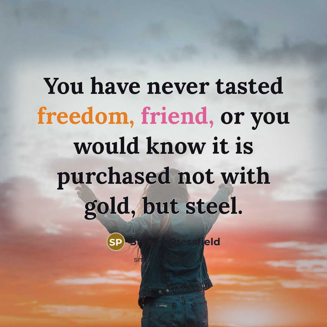 “You have never tasted freedom, friend, or you would know…” quote by Steven Pressfield