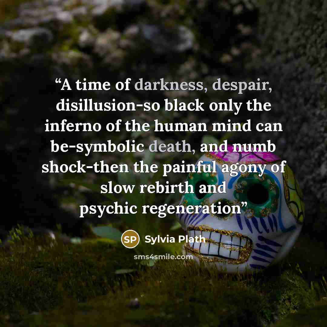 “A time of darkness, despair, disillusion-so black only the inferno of the human mind can be-symbolic death, and numb shock-then the painful agony of slow rebirth and psychic regeneration” quote by Sylvia Plath