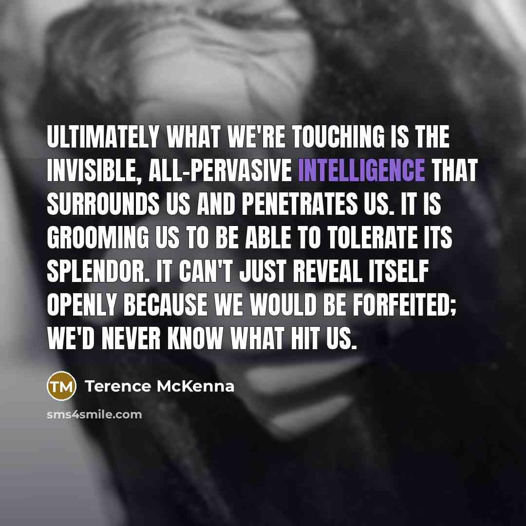 “Ultimately what we're touching is the invisible, all-pervasive intelligence that…” quote by Terence McKenna