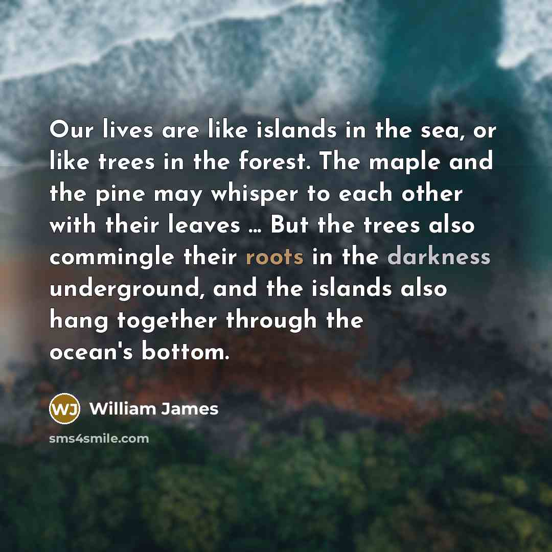 “Our lives are like islands in the sea, or like…” quote by William James