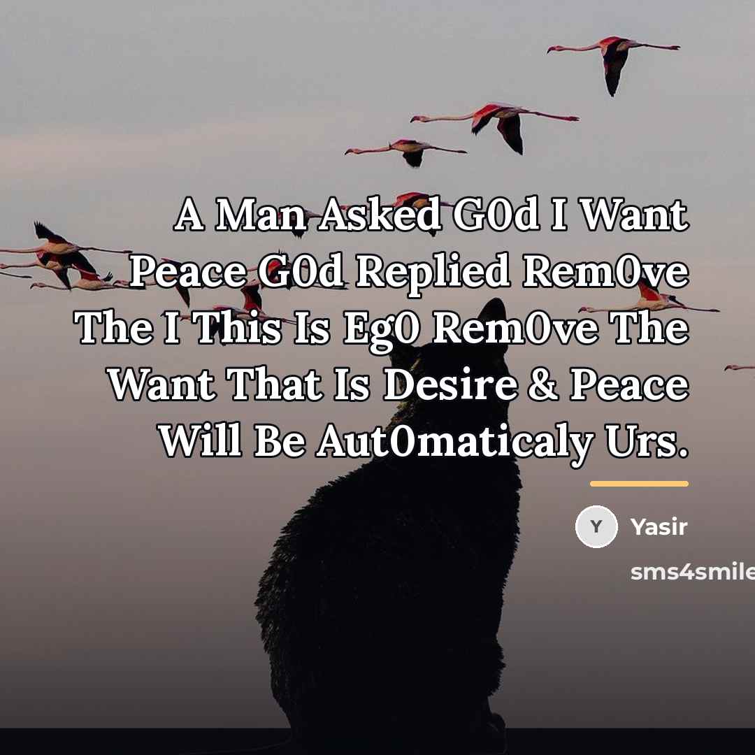 “A Man Asked G0d I Want Peace G0d Replied Rem0ve…” quote by Yasir