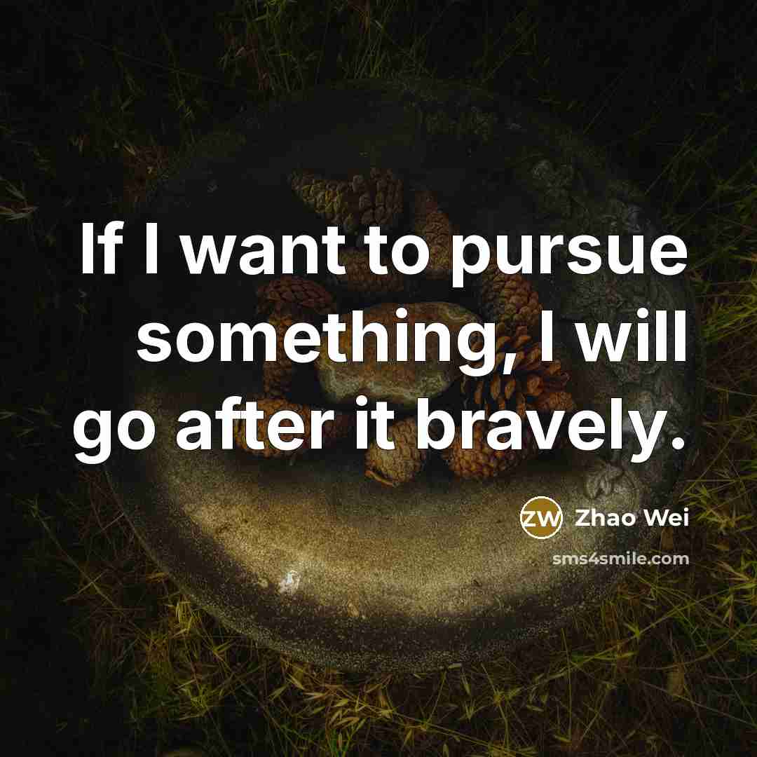 “If I want to pursue something, I will go after…” quote by Zhao Wei