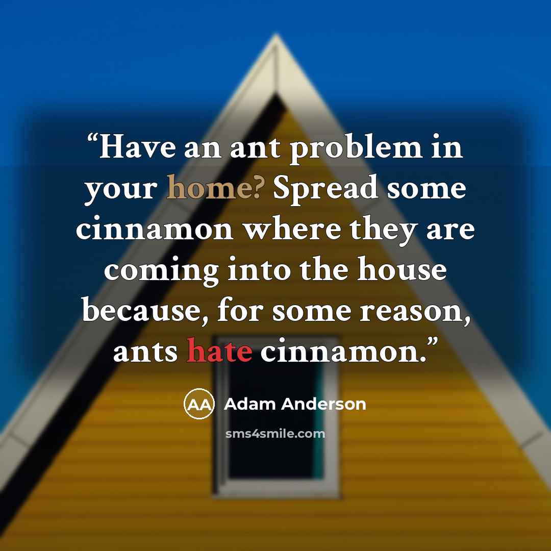 “Have an ant problem in your home? Spread some cinnamon where they are coming into the house because, for some reason, ants hate cinnamon.” quote by Adam Anderson