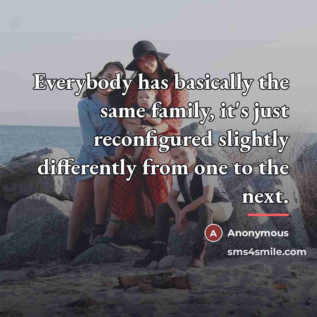 “Everybody has basically the same family, it's just reconfigured slightly…” quote by Anonymous