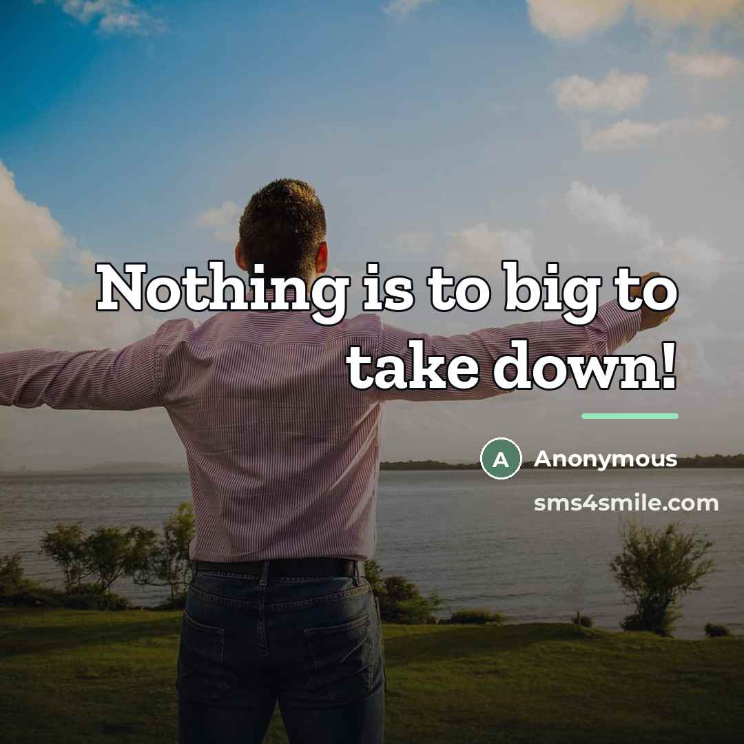 “Nothing is to big to take down!…” quote by Anonymous