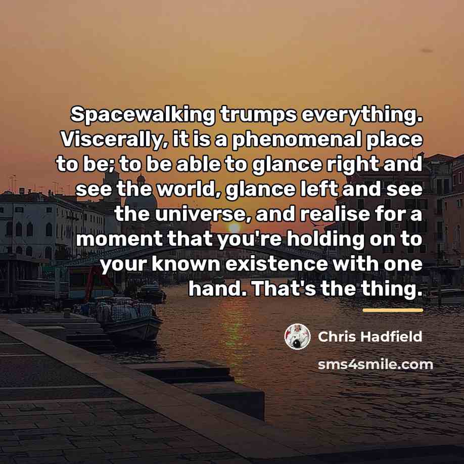 “Spacewalking trumps everything. Viscerally, it is a phenomenal place to…” quote by Chris Hadfield