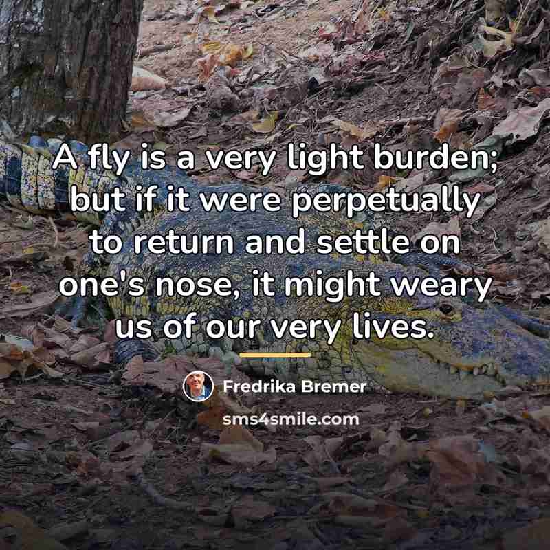 “A fly is a very light burden; but if it…” quote by Fredrika Bremer