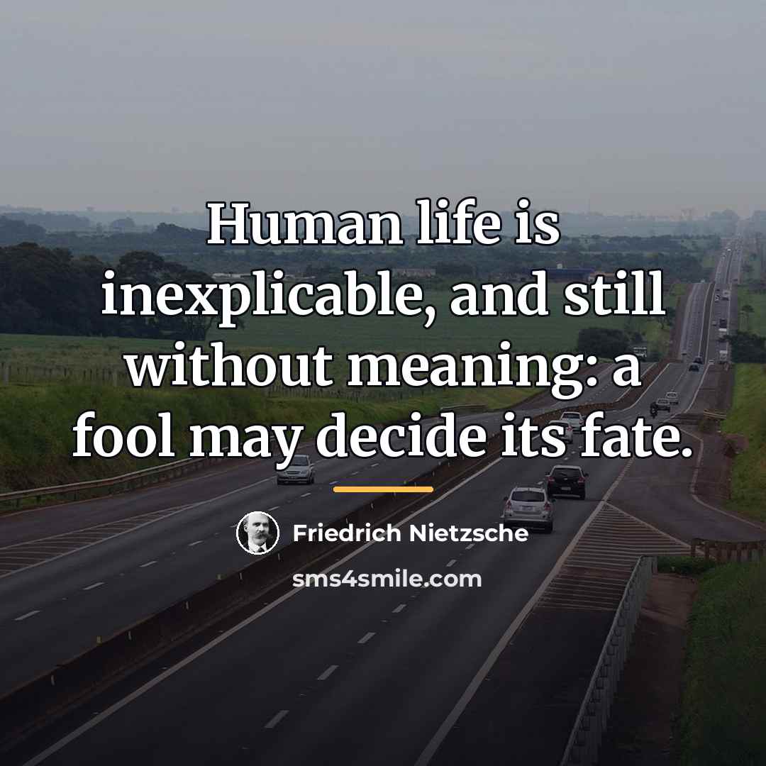 “Human life is inexplicable, and still without meaning: a fool…” quote by Friedrich Nietzsche