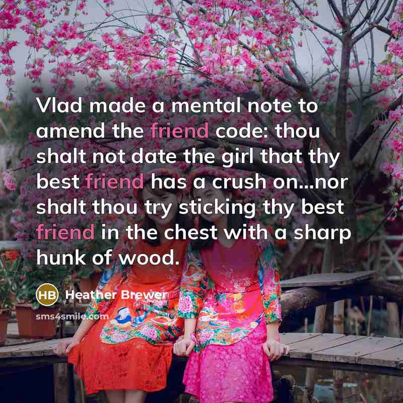 “Vlad made a mental note to amend the friend code:…” quote by Heather Brewer