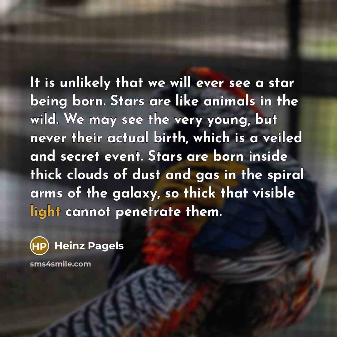 “It is unlikely that we will ever see a star…” quote by Heinz Pagels