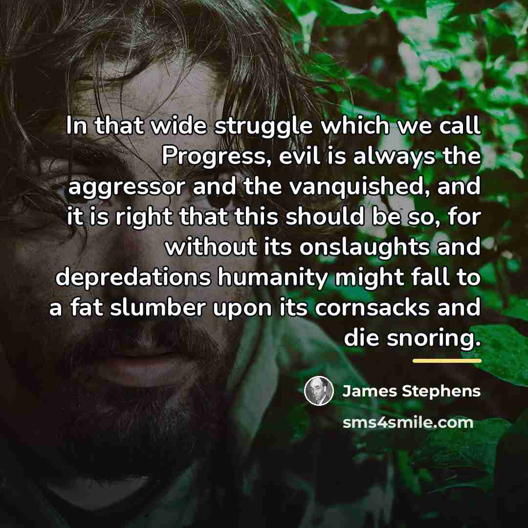 “In that wide struggle which we call Progress, evil is…” quote by James Stephens