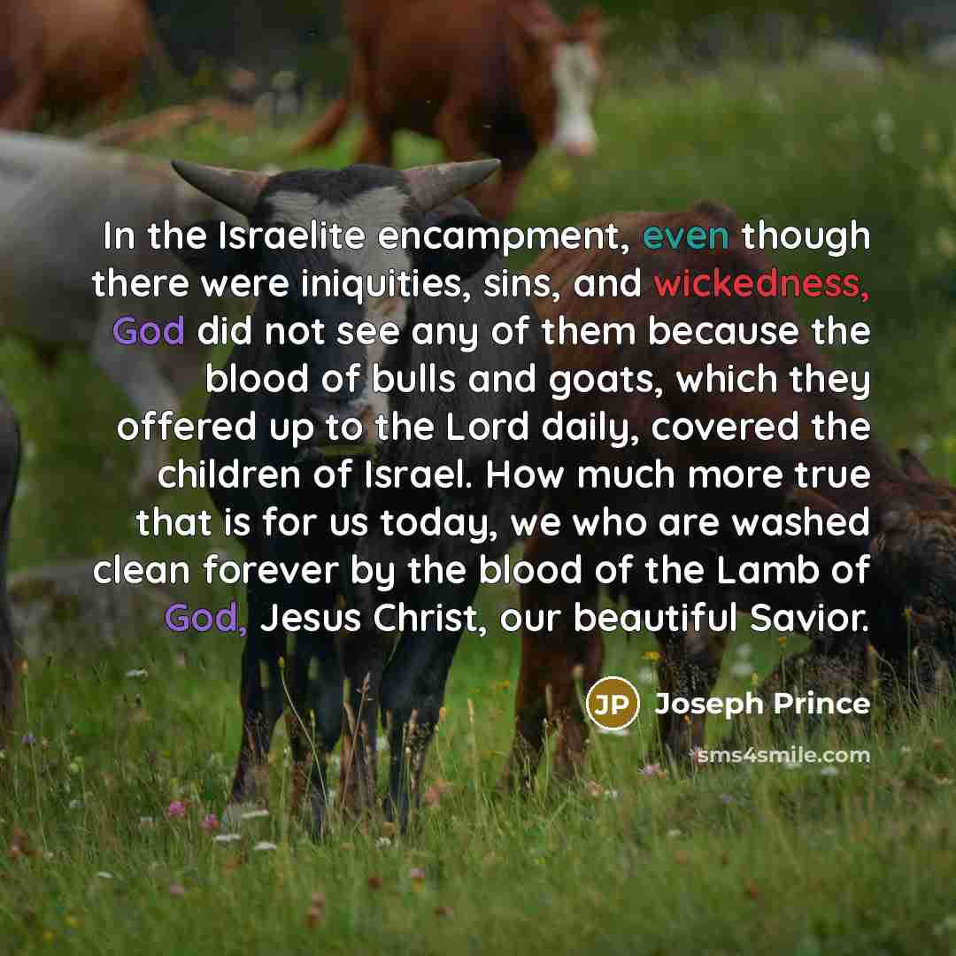 “In the Israelite encampment, even though there were iniquities, sins,…” quote by Joseph Prince