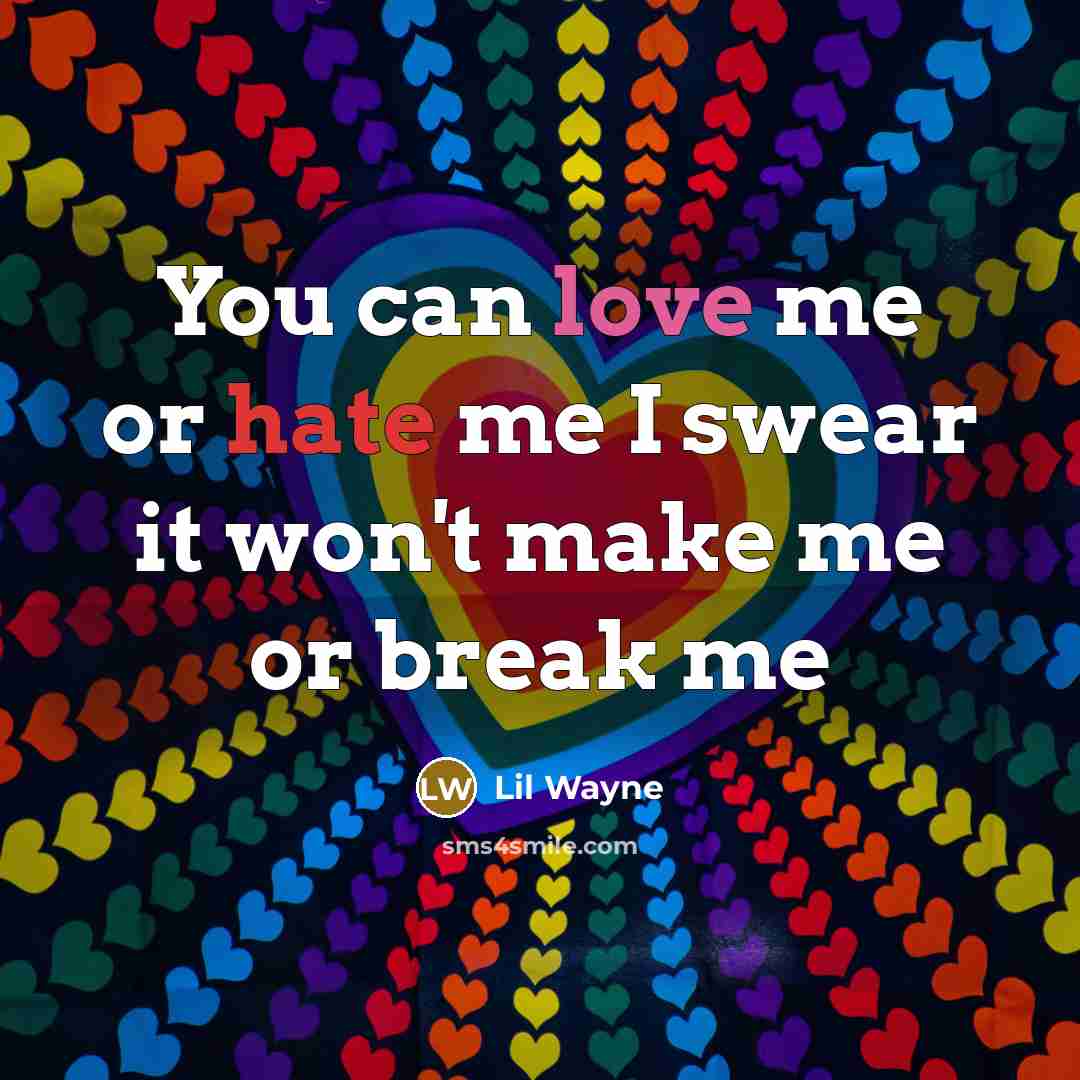 “You can love me or hate me I swear it won't make me or break me” quote by Lil Wayne