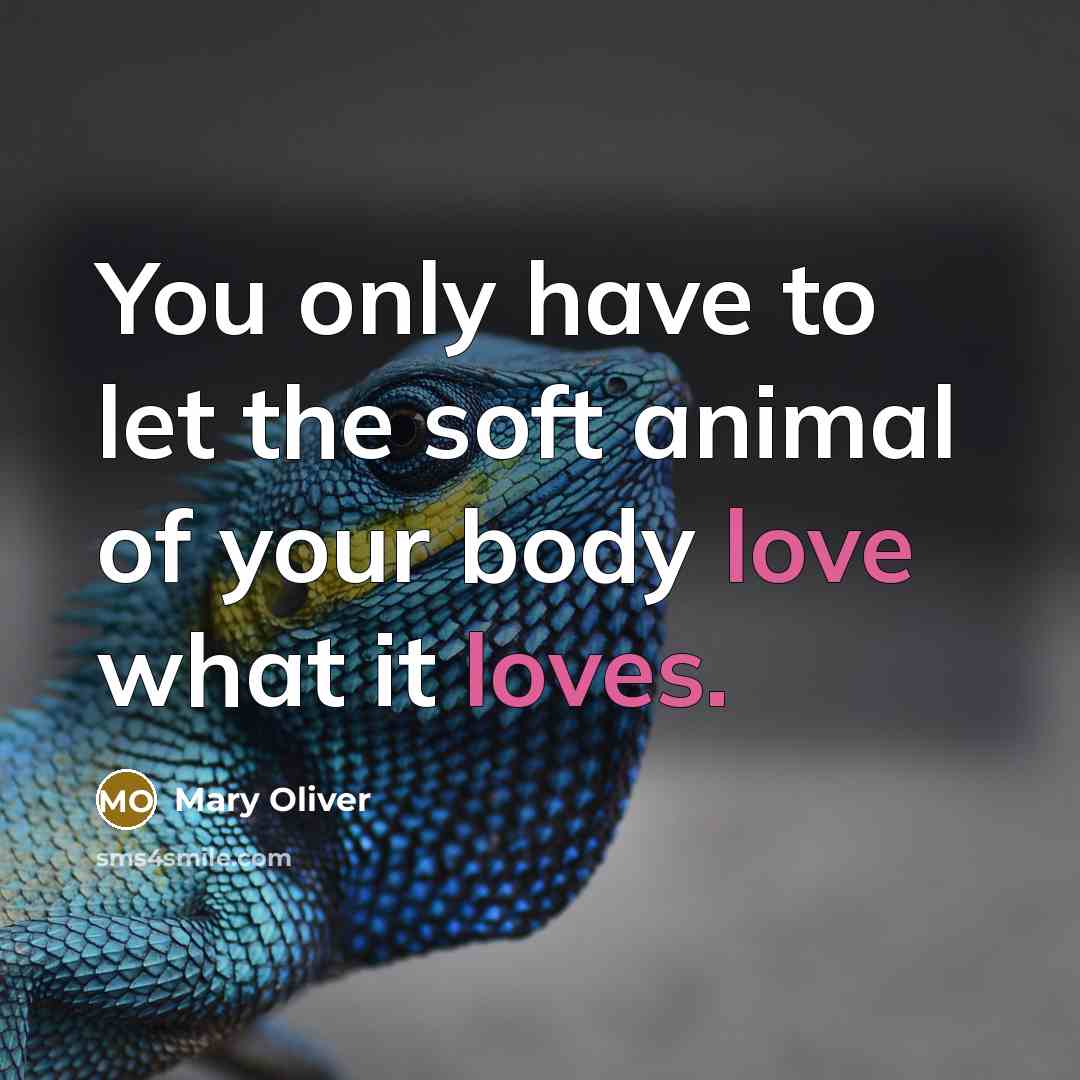 “You only have to let the soft animal of your…” quote by Mary Oliver