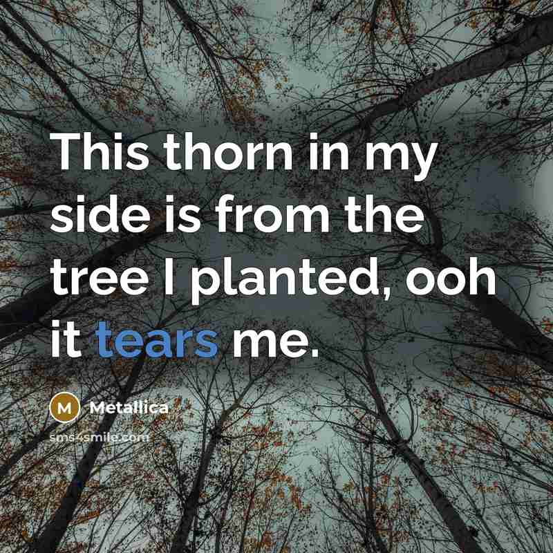“This thorn in my side is from the tree I…” quote by Metallica