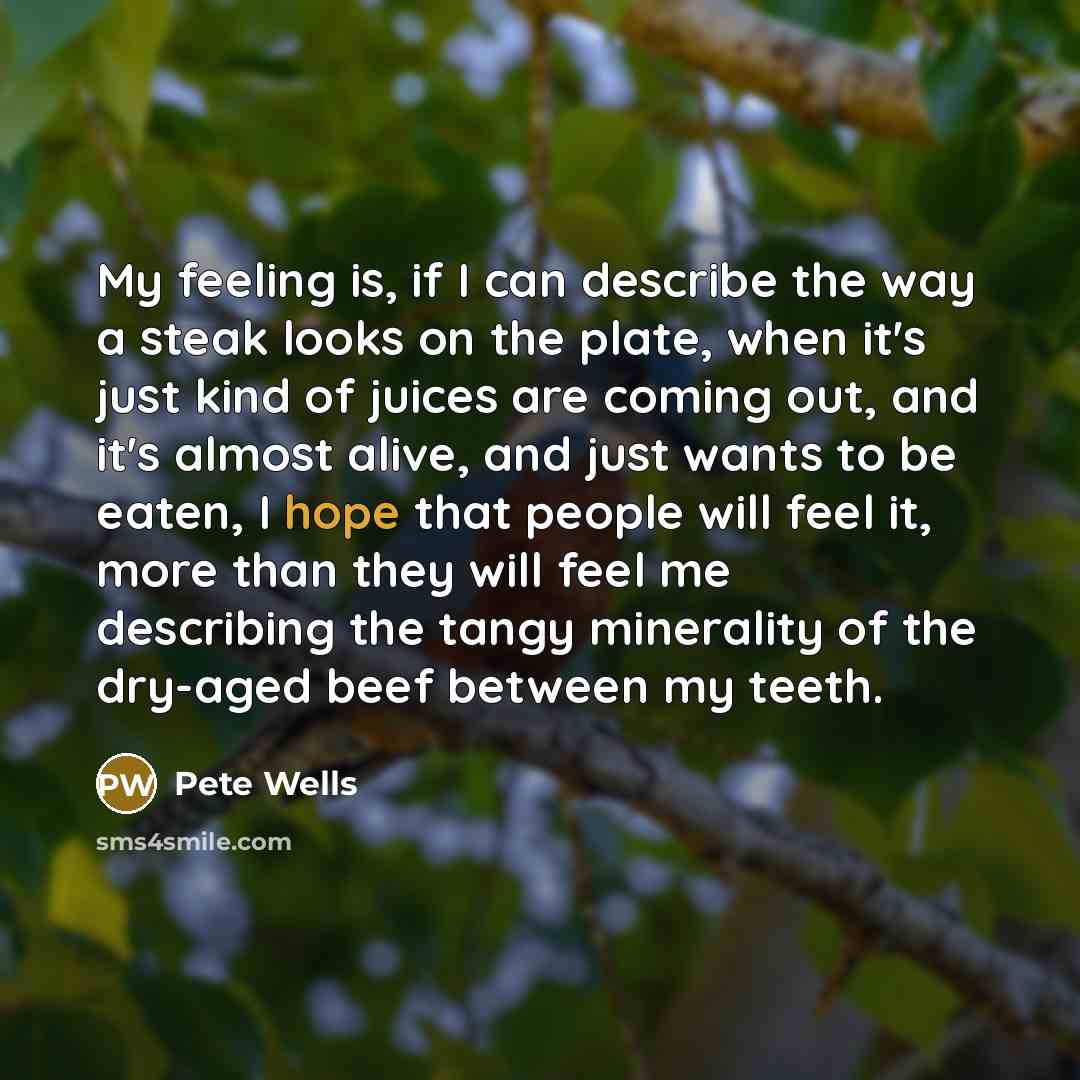 “My feeling is, if I can describe the way a…” quote by Pete Wells