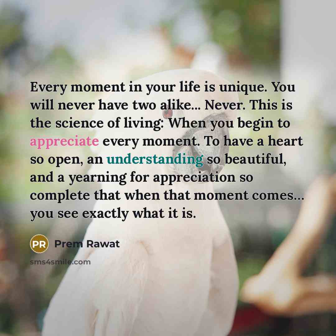 “Every moment in your life is unique. You will never…” quote by Prem Rawat