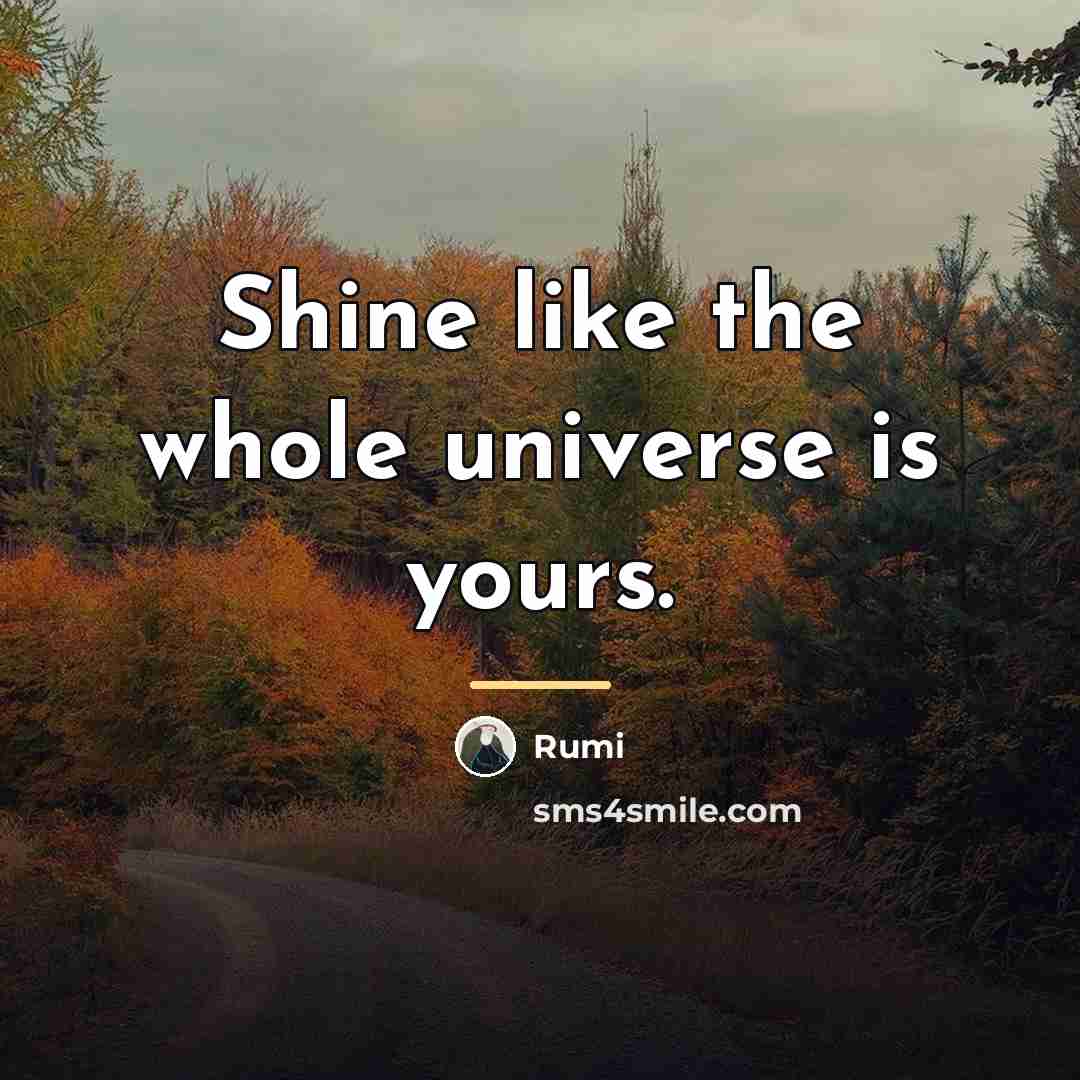 “Shine like the whole universe is yours.…” quote by Rumi