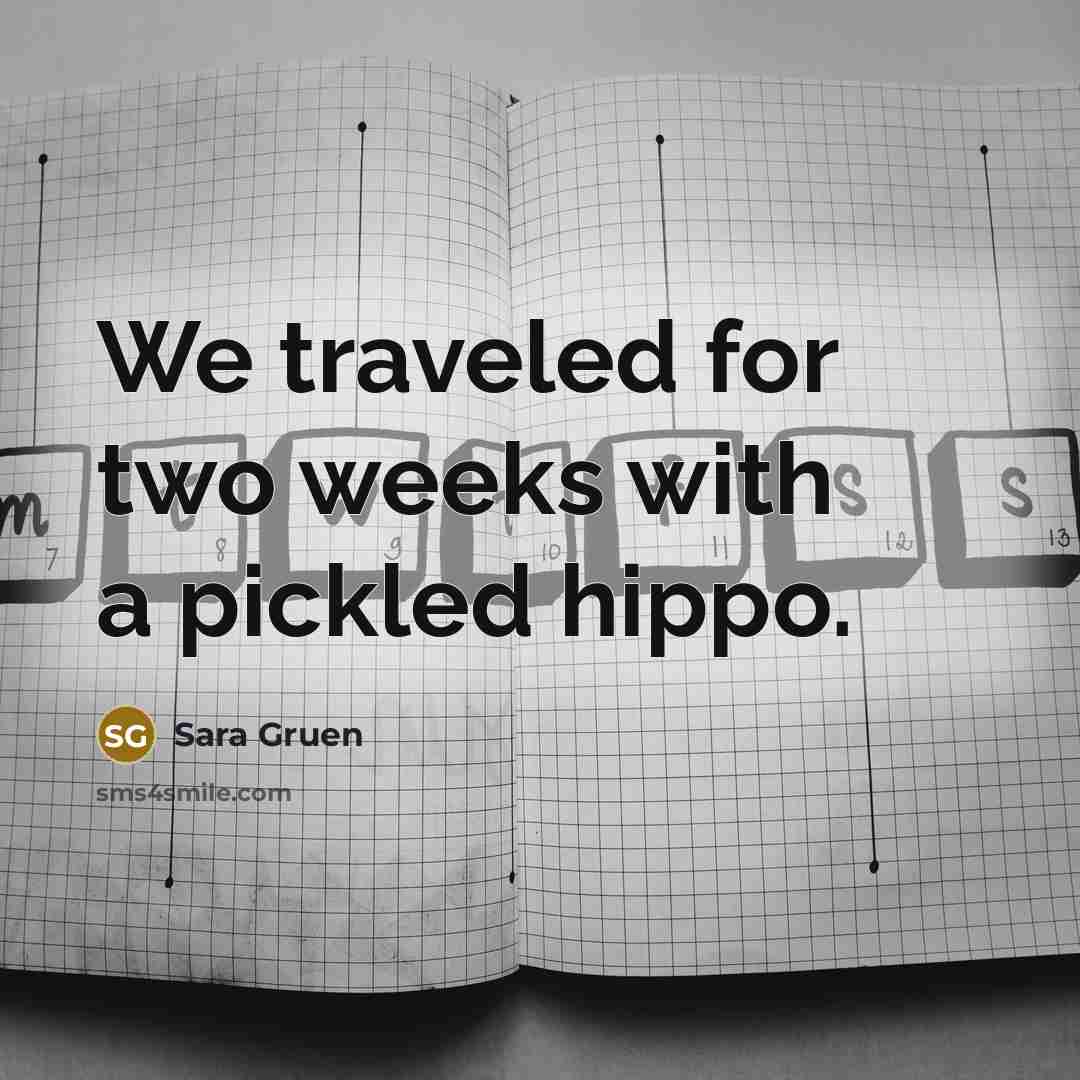 “We traveled for two weeks with a pickled hippo.…” quote by Sara Gruen