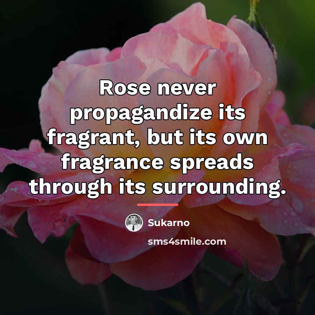 “Rose never propagandize its fragrant, but its own fragrance spreads…” quote by Sukarno