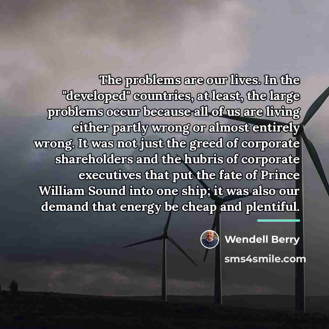 “The problems are our lives. In the "developed" countries, at…” quote by Wendell Berry