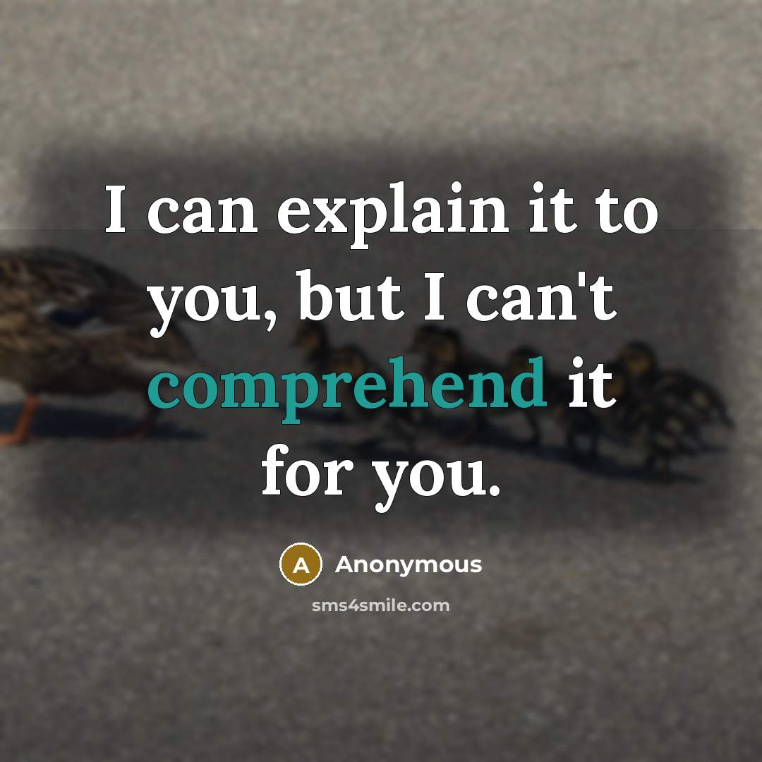 “I can explain it to you, but I can't comprehend…” quote by Anonymous
