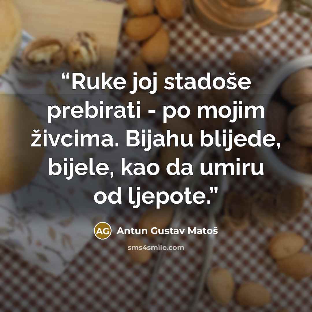 “Ruke joj stadoše prebirati - po mojim živcima. Bijahu blijede, bijele, kao da umiru od ljepote.” quote by Antun Gustav Matoš