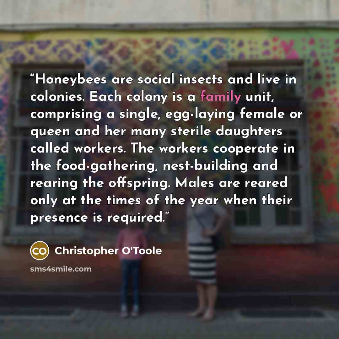 “Honeybees are social insects and live in colonies. Each colony is a family unit, comprising a single, egg-laying female or queen and her many sterile daughters called workers. The workers cooperate in the food-gathering, nest-building and rearing the offspring. Males are reared only at the times…” quote by Christopher O'Toole