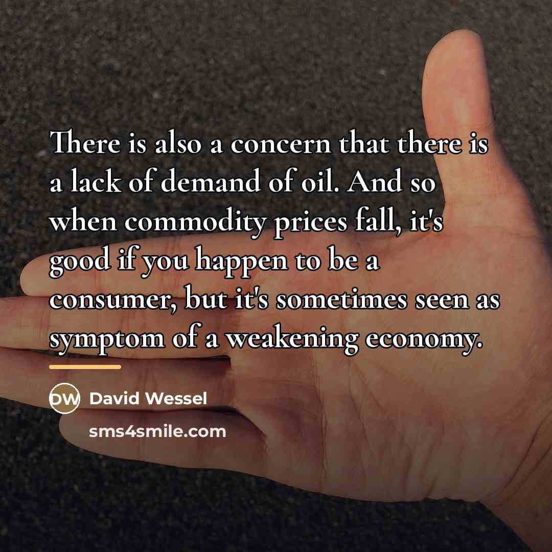 “There is also a concern that there is a lack…” quote by David Wessel