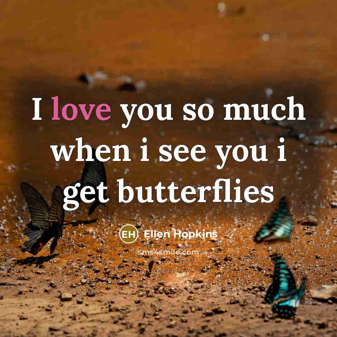 “I love you so much when i see you i get butterflies” quote by Ellen Hopkins