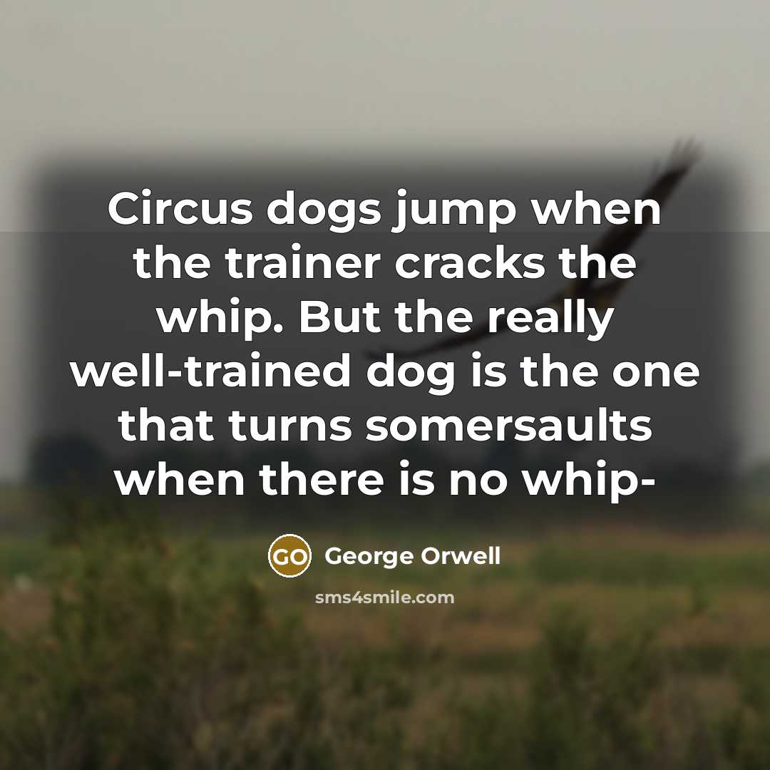 “Circus dogs jump when the trainer cracks the whip. But…” quote by George Orwell