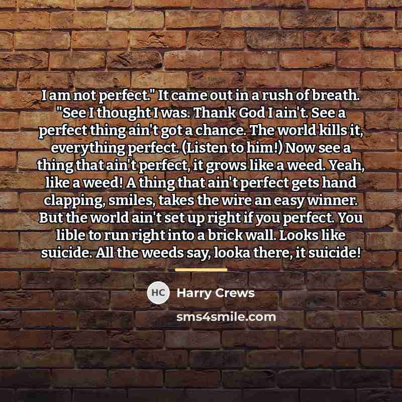 “I am not perfect." It came out in a rush…” quote by Harry Crews