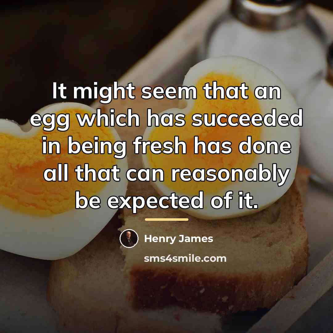 “It might seem that an egg which has succeeded in…” quote by Henry James
