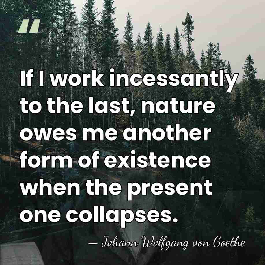 If I work incessantly to the last, nature owes me another form&hellip; - Johann Wolfgang von Goethe