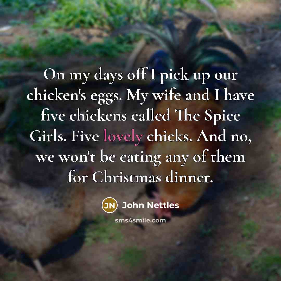 “On my days off I pick up our chicken's eggs.…” quote by John Nettles